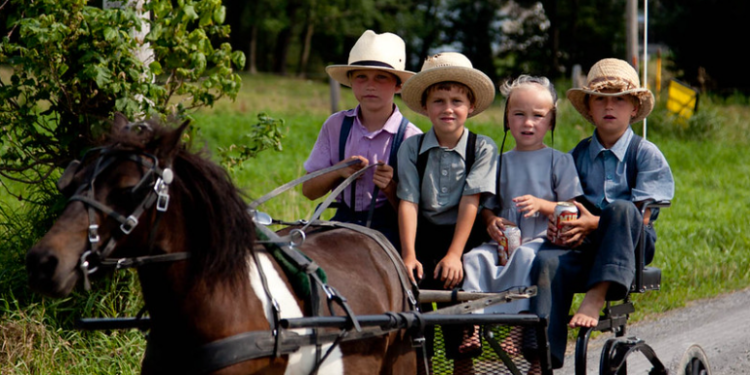 The Amish Plan for Better Schools