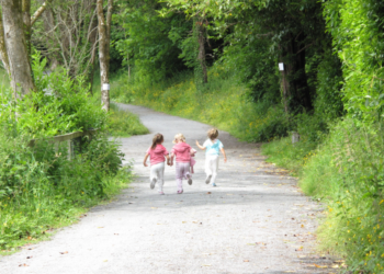 ESAs Foster Innovation: Here’s Just One Possibility