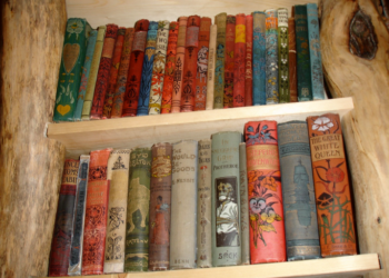 A Curriculum Comparison: 1916 vs. 2024 Minnesota Public School Reading Curriculum