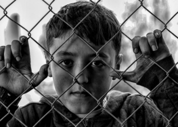Soon Minnesota will be Desolate in a Sea of School Choice