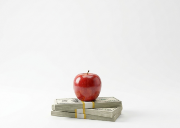 Love it or Hate it, the Federal Tax Credit is Law and the Stakes for Minnesota are Huge