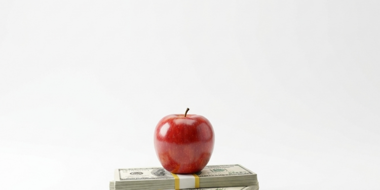 Love it or Hate it, the Federal Tax Credit is Law and the Stakes for Minnesota are Huge